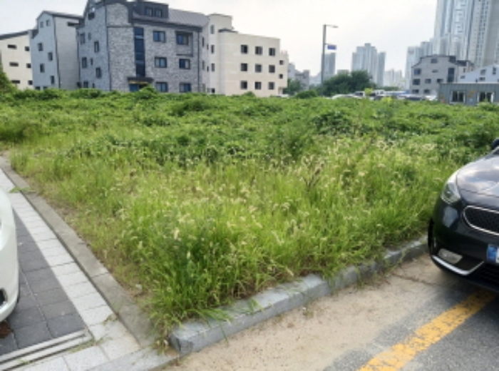 * 본건 목적물 전경