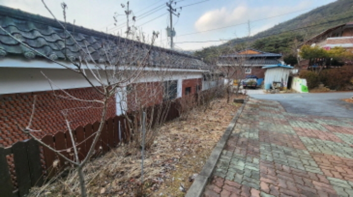조경수