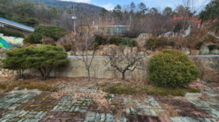 조경수