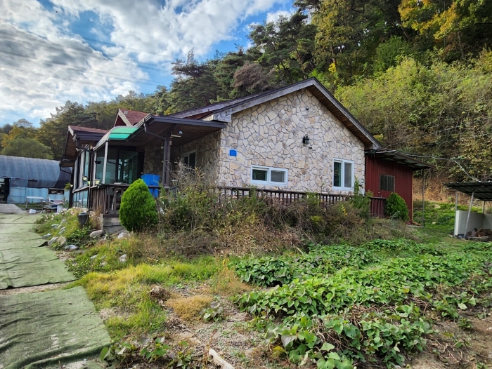 기호 8(동측촬영)