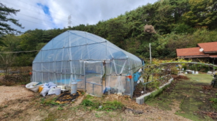 본건 6 전경 및 제시외 비닐하우스 일부 소재