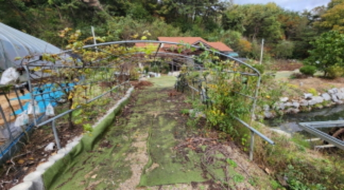 본건 6 전경 및 제시외 철파이프조 지주대