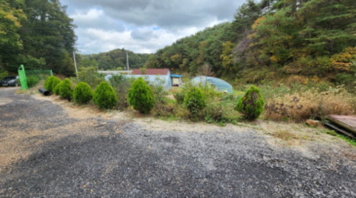 본건 6 전경 및 조경수