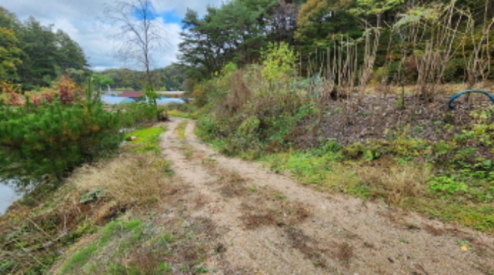 본건 5 전경 및 엄나무