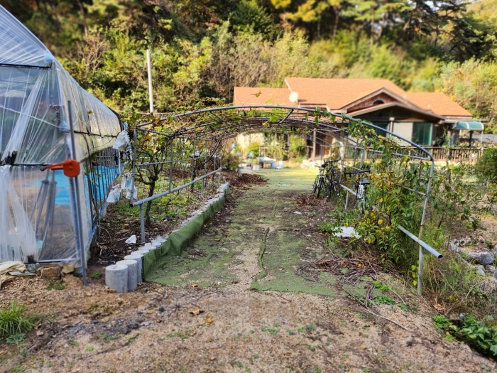 제시외 (ㅇ) 내부