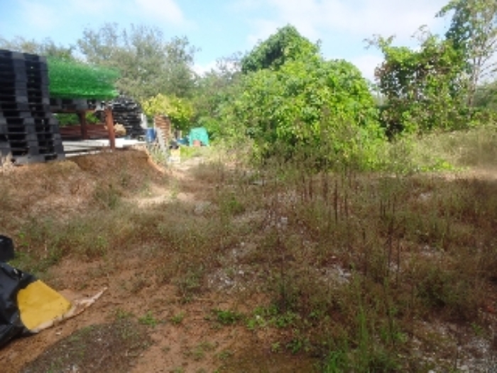 기호 6. 상단 진입로