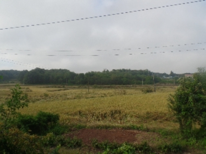 본건 및 주위환경