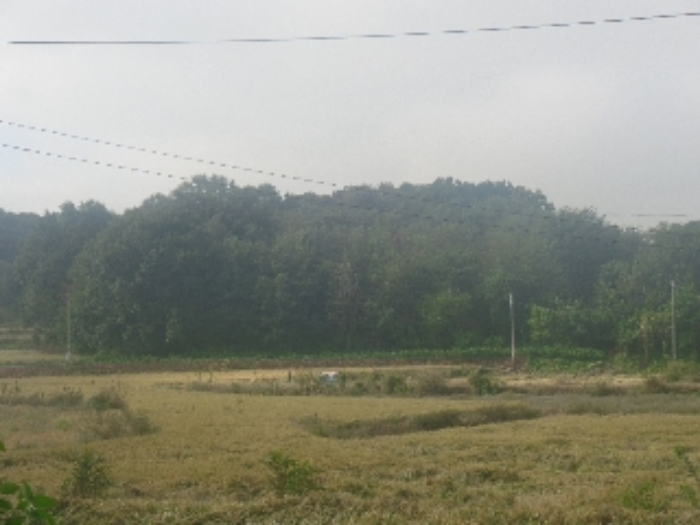 기호 3., 4, 8, 9, 10. 전경