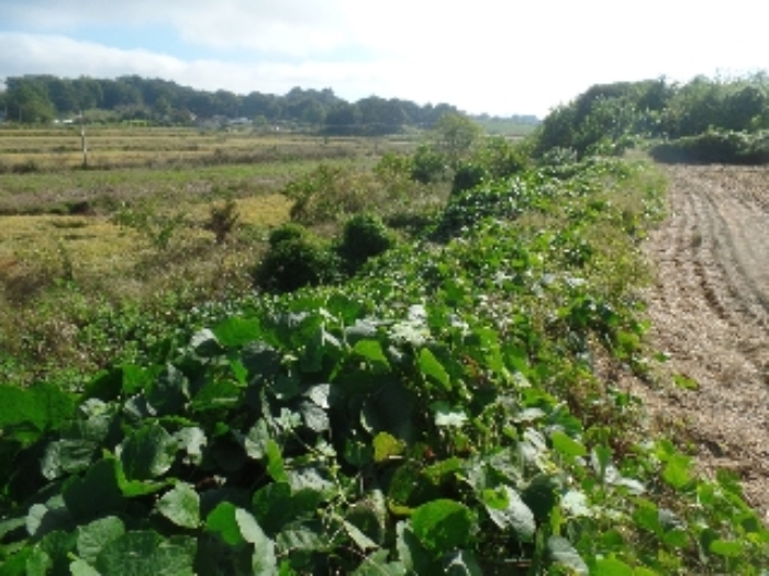 기호 7. 경사지 및 구거 부분