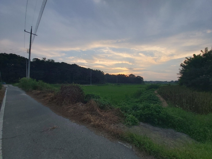 주위환경-동측에서 촬영함