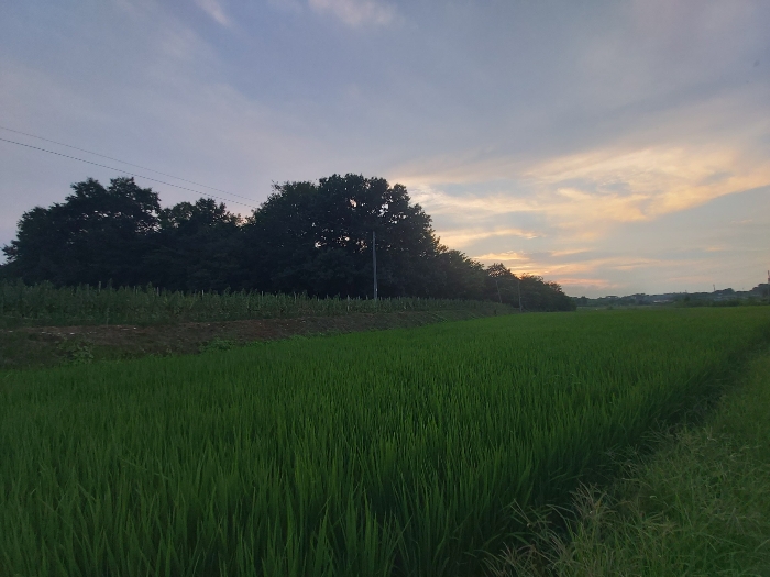 본건 전체전경-남동측에서 촬영함