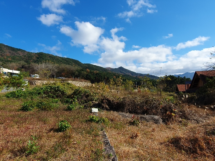 (1,3,4)토지 남서측 전경(내부)