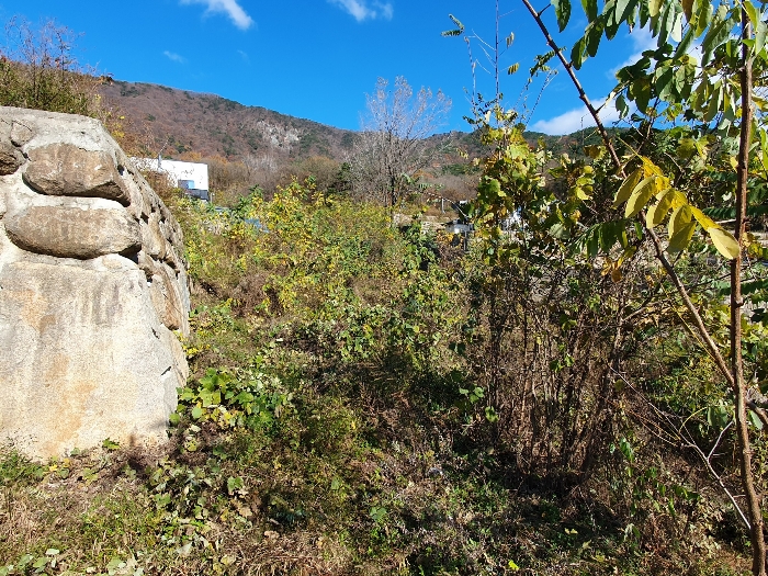 (2)토지 동측의 미성토 부분