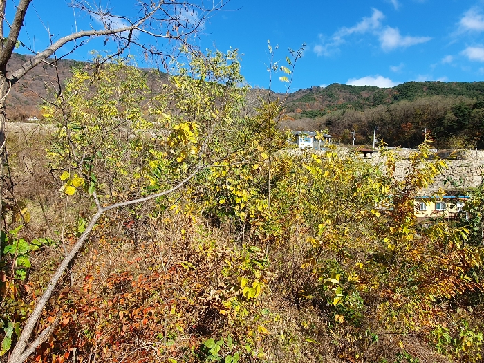 (2,4)토지 동측의 미성토 부분