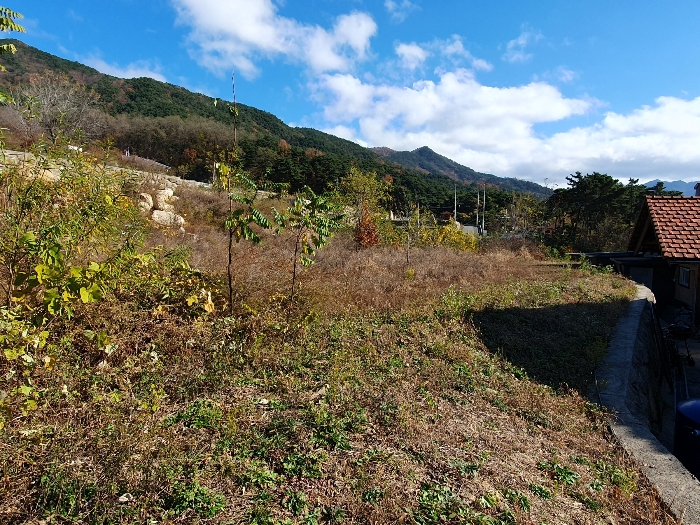(2,4)토지 서측 전경(내부)