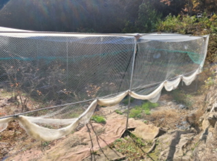 목록번호5 수목