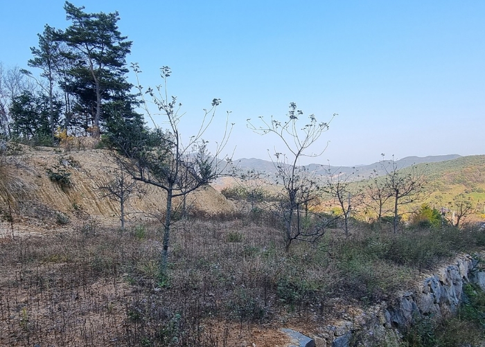 제시외수목 기호