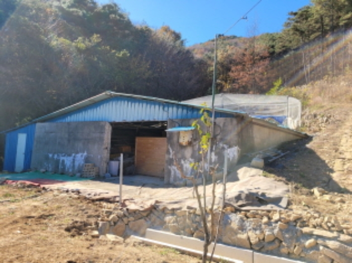 목록번호5 제시