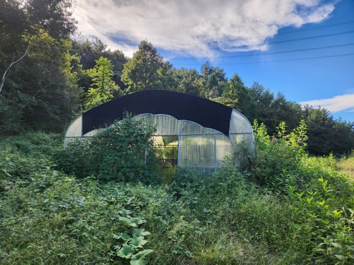 기호 2) 지상의 비닐하우스