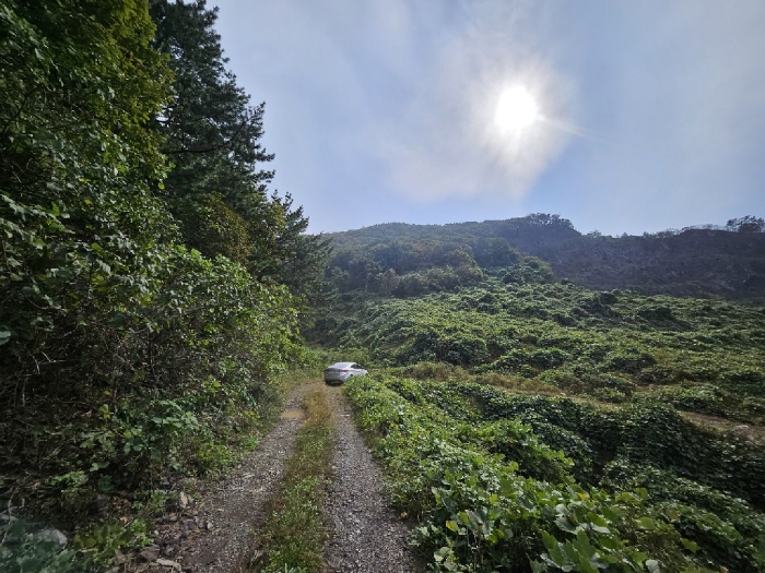 인근 도로 상태