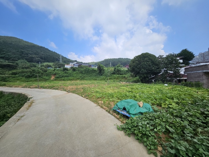 기호(4) 동측에서 바라본 전경