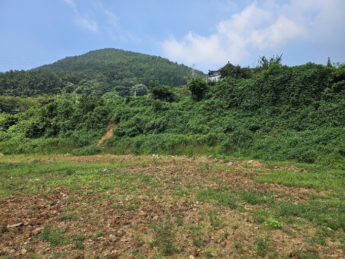 기호(7) 남동측에서 바라본 전경