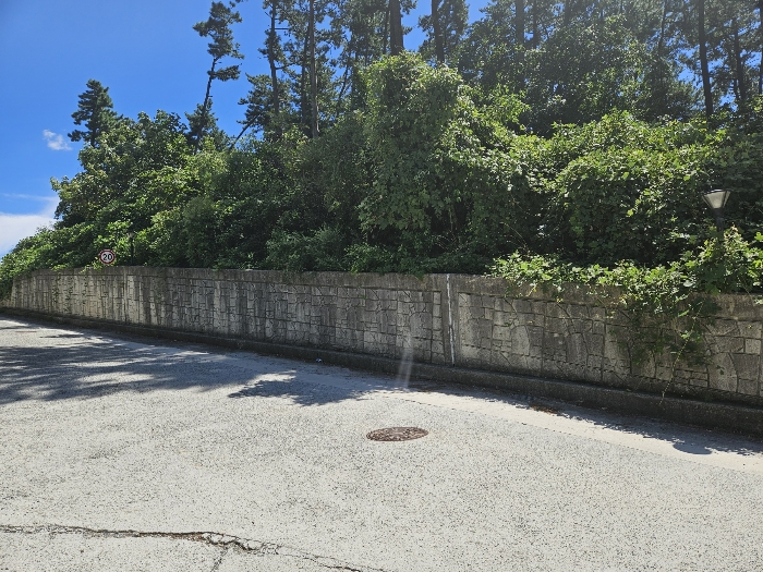 11.본건3전경(북측전경)