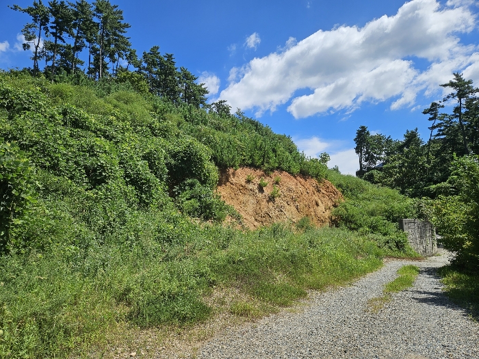 29.본건13전경(서측전경)