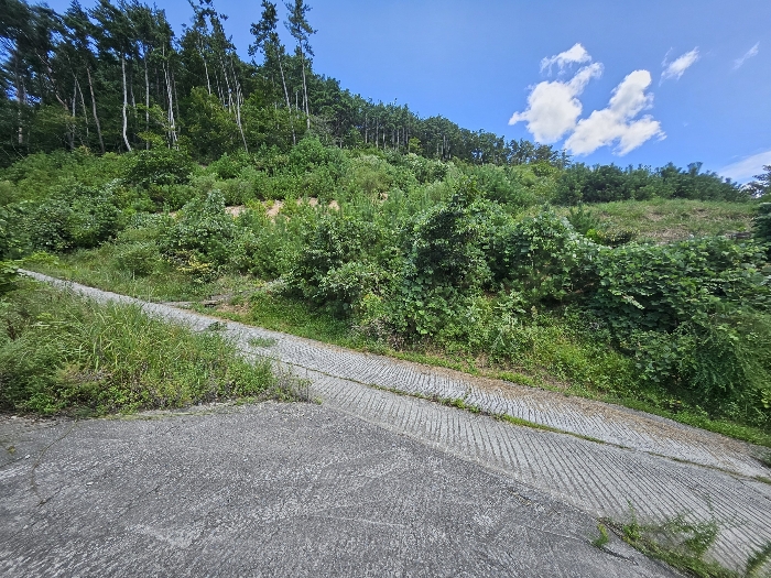 17.본건6전경(서측전경)