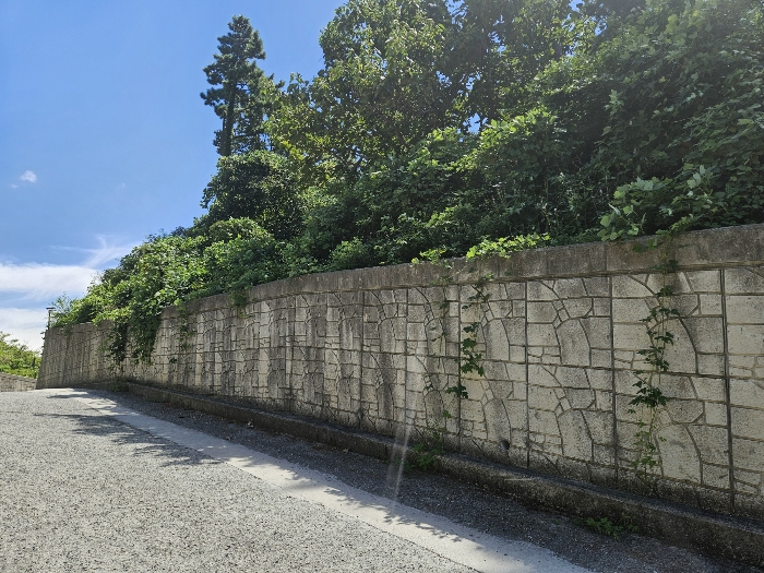 19.본건7전경(서측전경)