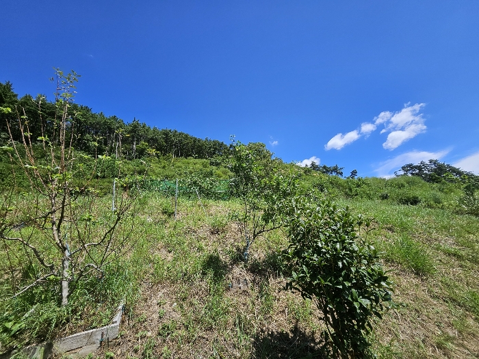 21.본건9상단부전경