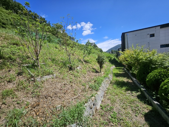 23.본건9하단부전경