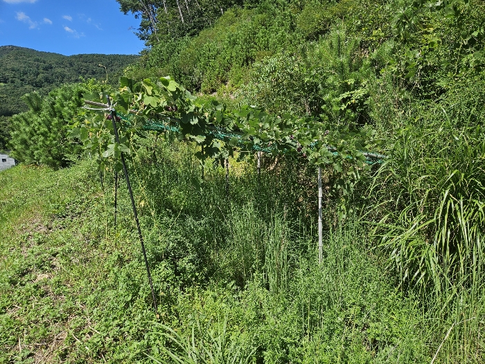 32.제시외구축물 ㉡[본건9)하단부소재]