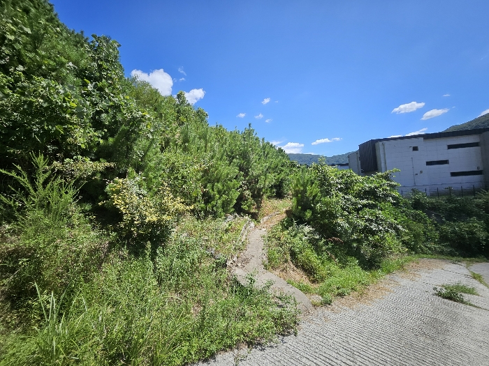 16.본건6남측부분(북서측전경)