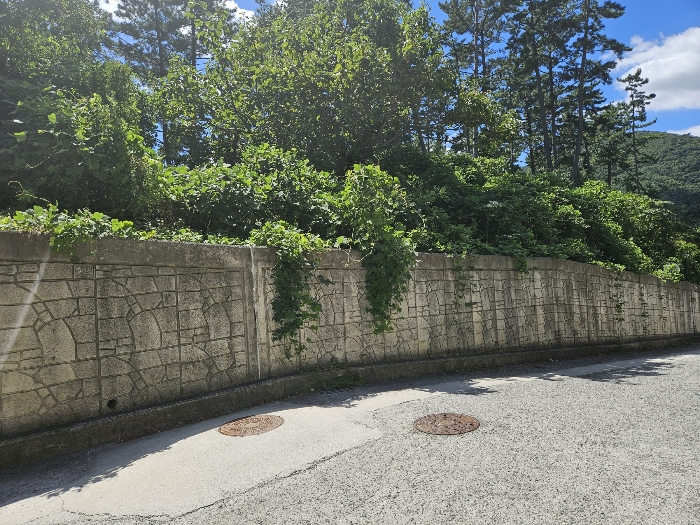 18.본건7전경(동측전경)