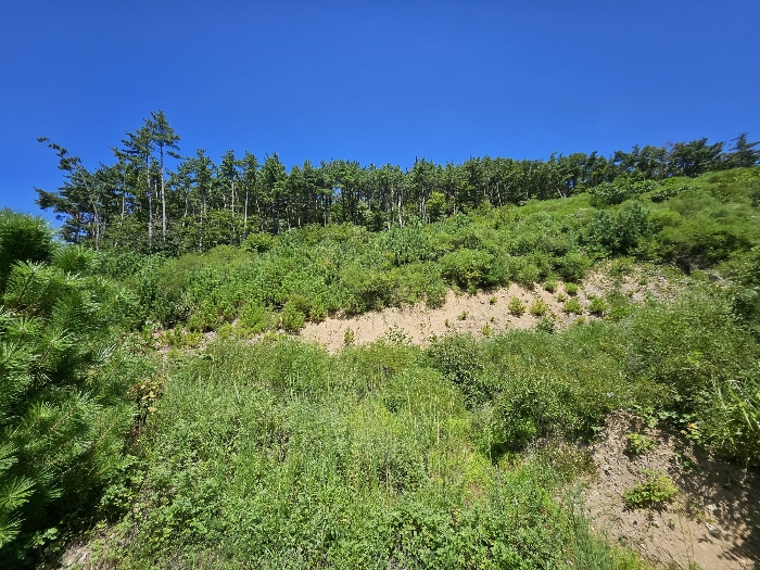 24.본건10전경(남서측전경)