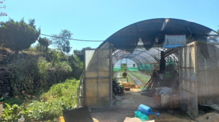 목록 1및 제시외 