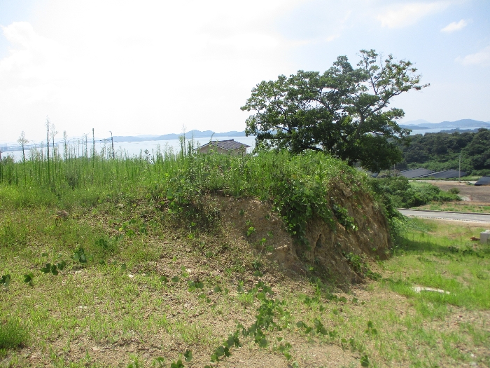 일련번호 11) 전경