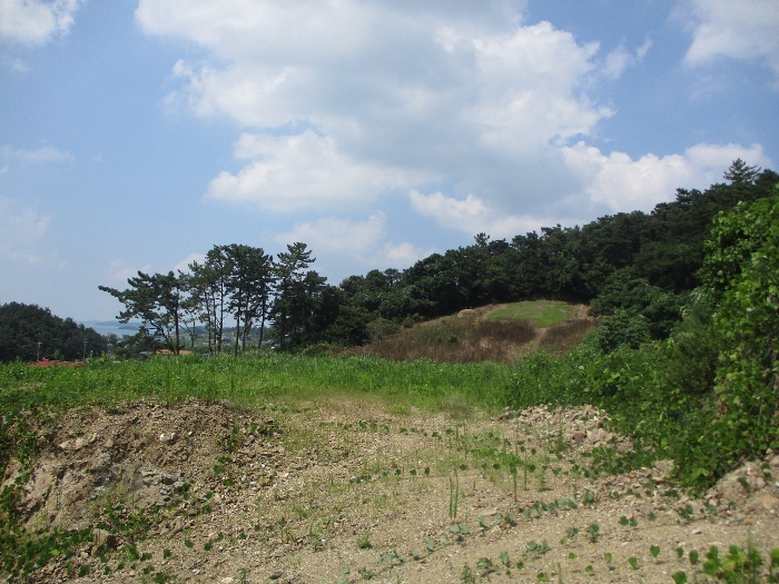 일련번호 3) 전경