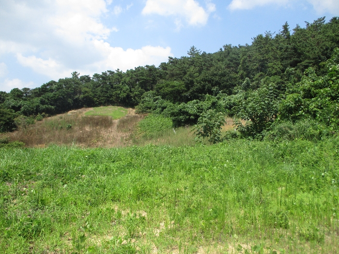 일련번호 3) 전경