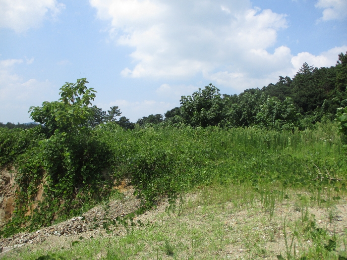 일련번호 4) 전경