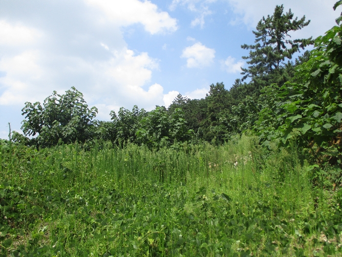 일련번호 4) 전경