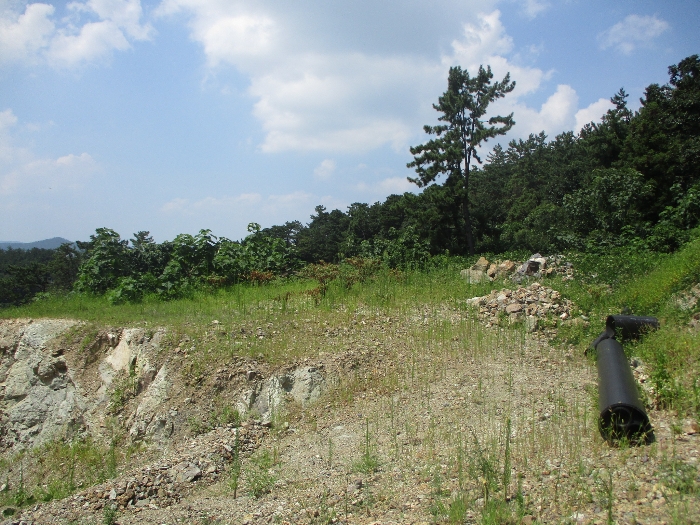 일련번호 5) 전경