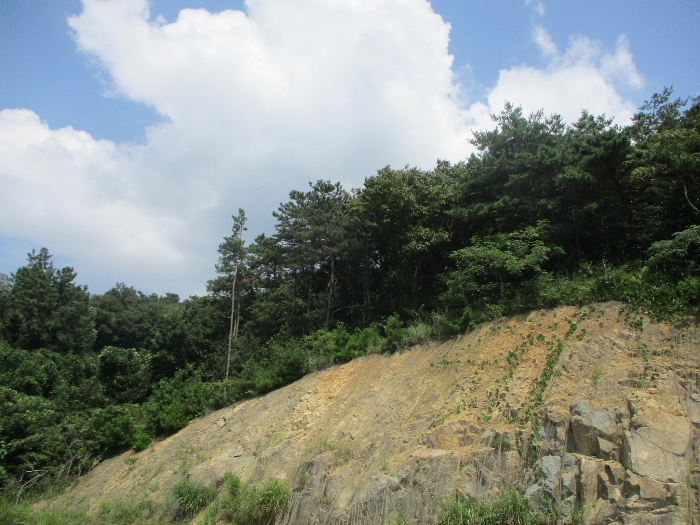 일련번호 7)-9) 전경