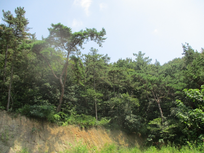 일련번호 20),21) 전경