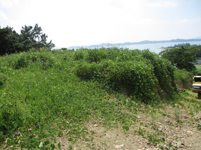 일련번호 12) 전경