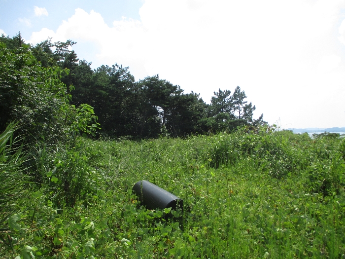 일련번호 16) 전경