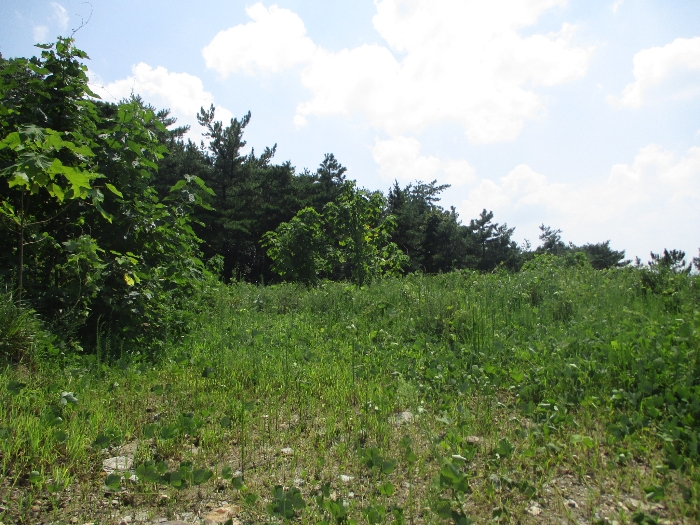 일련번호 17) 전경