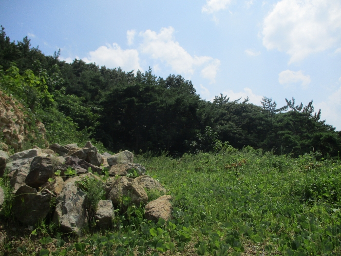 일련번호 18) 전경