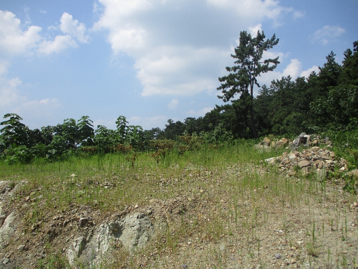 일련번호 5) 전경